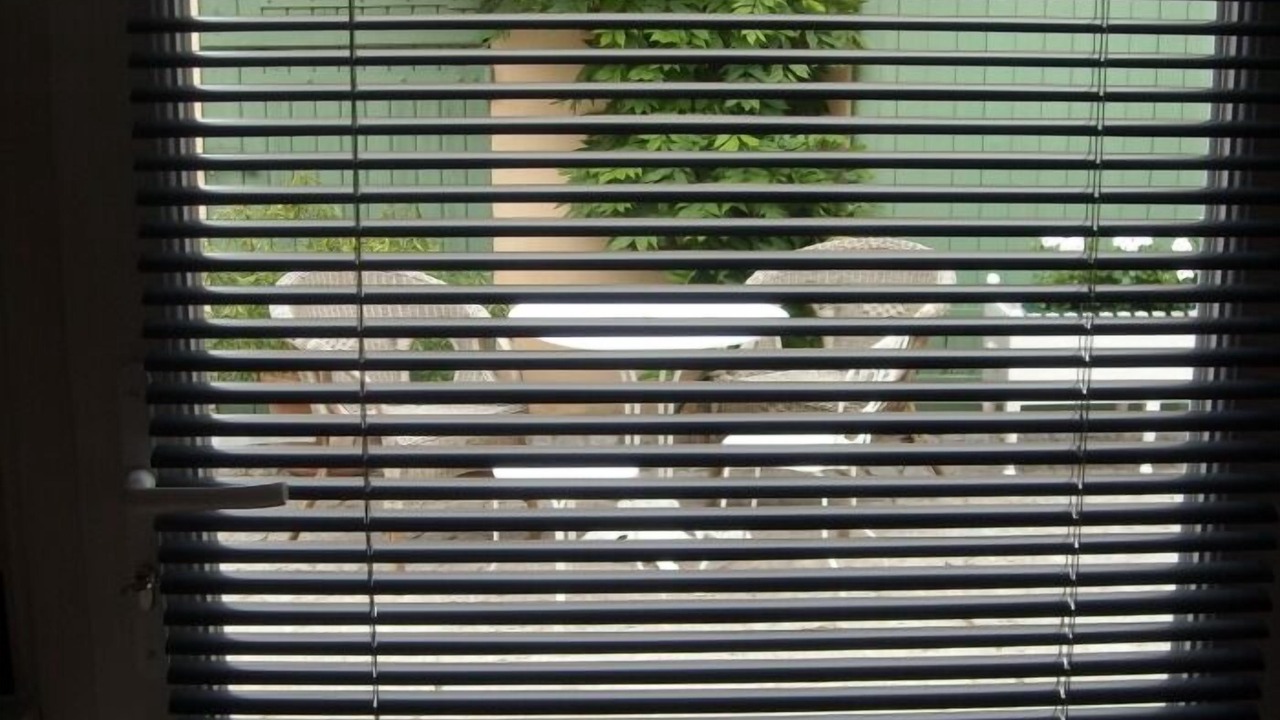 Photo of Others in Maisons-Laffitte