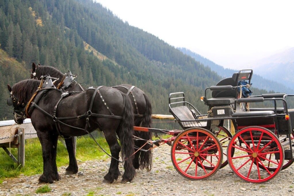 Photo of Others in Klosters-Serneus