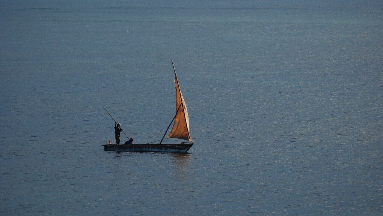 Photo of Others in Malindi Marine National Park