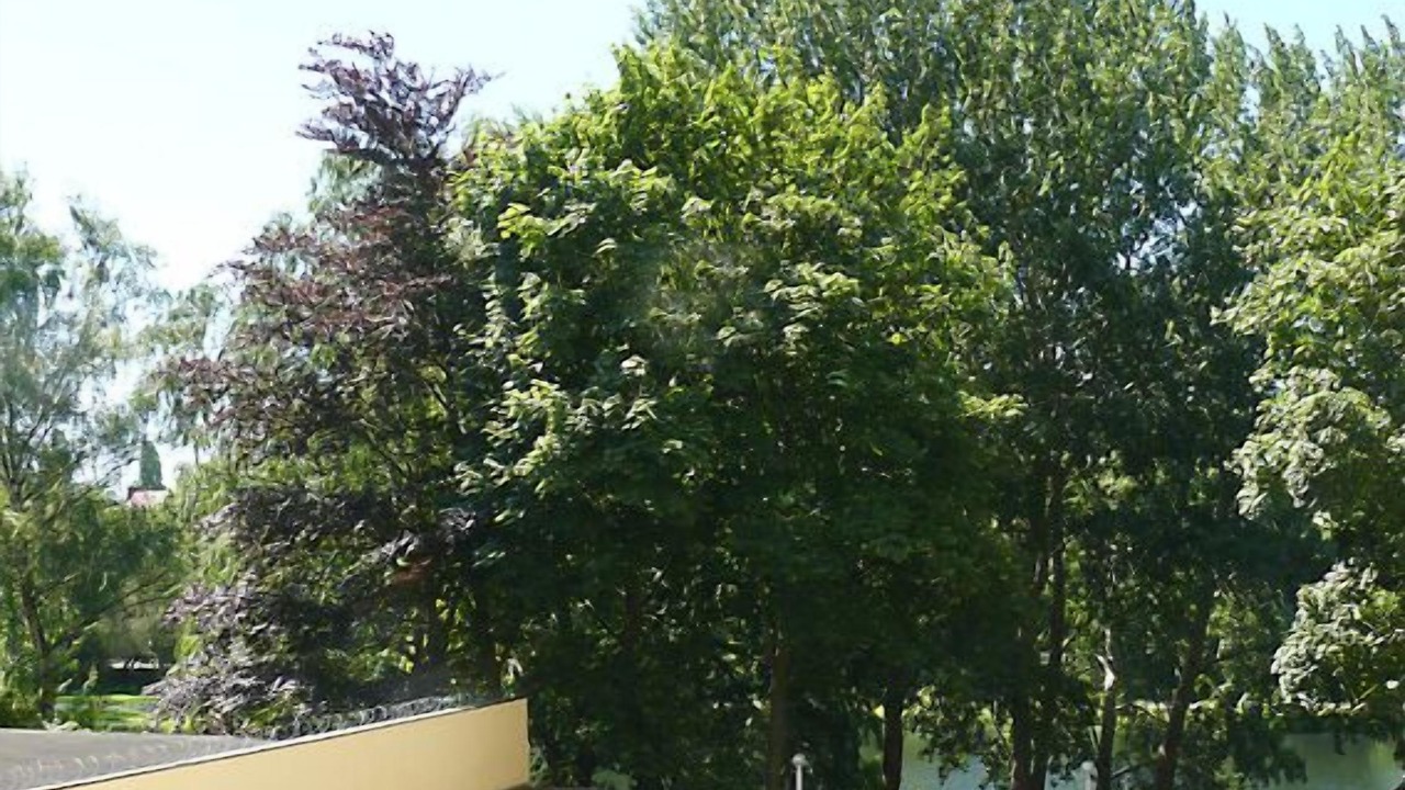 Photo of Outdoor in Charlottenburg-Wilmersdorf