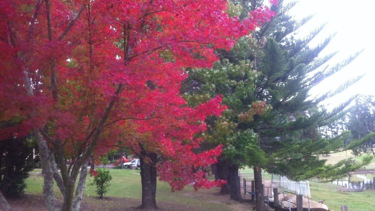 Photo of Outdoor in Kurrajong Heights