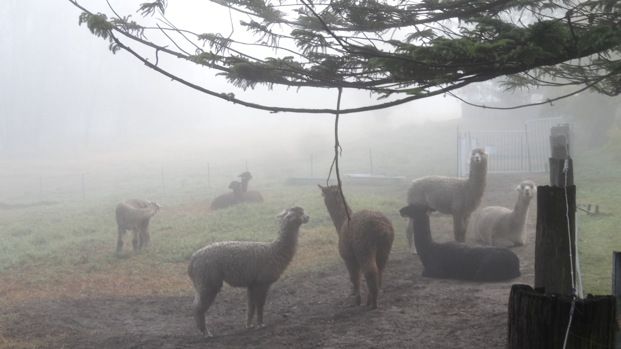 Photo of Outdoor in Kurrajong Heights