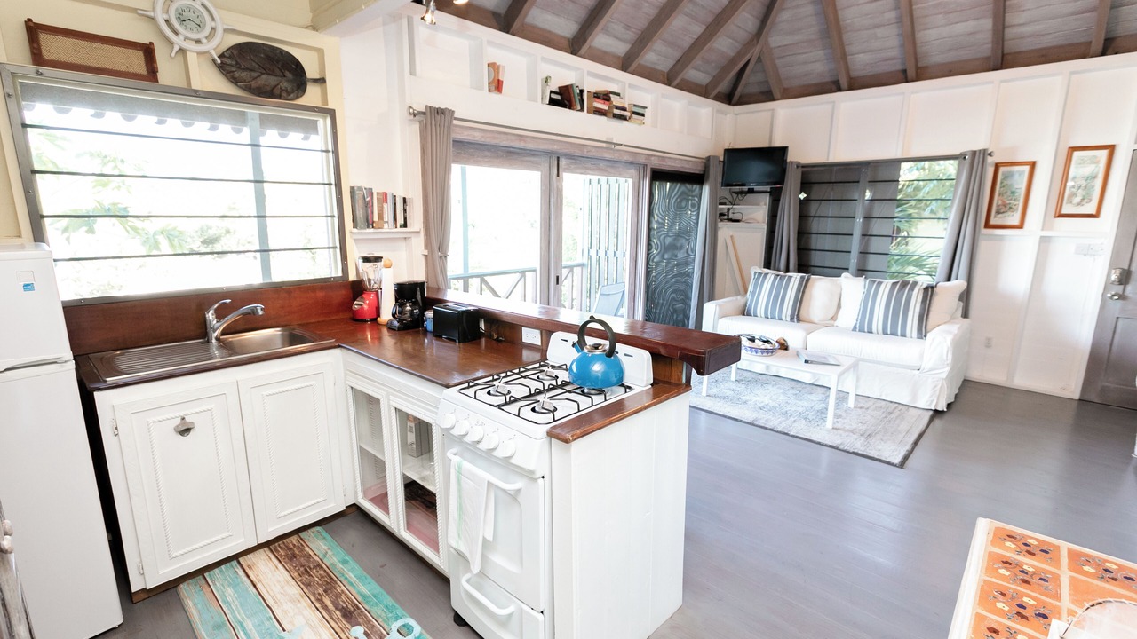 Photo of Kitchen in Freemans Bay