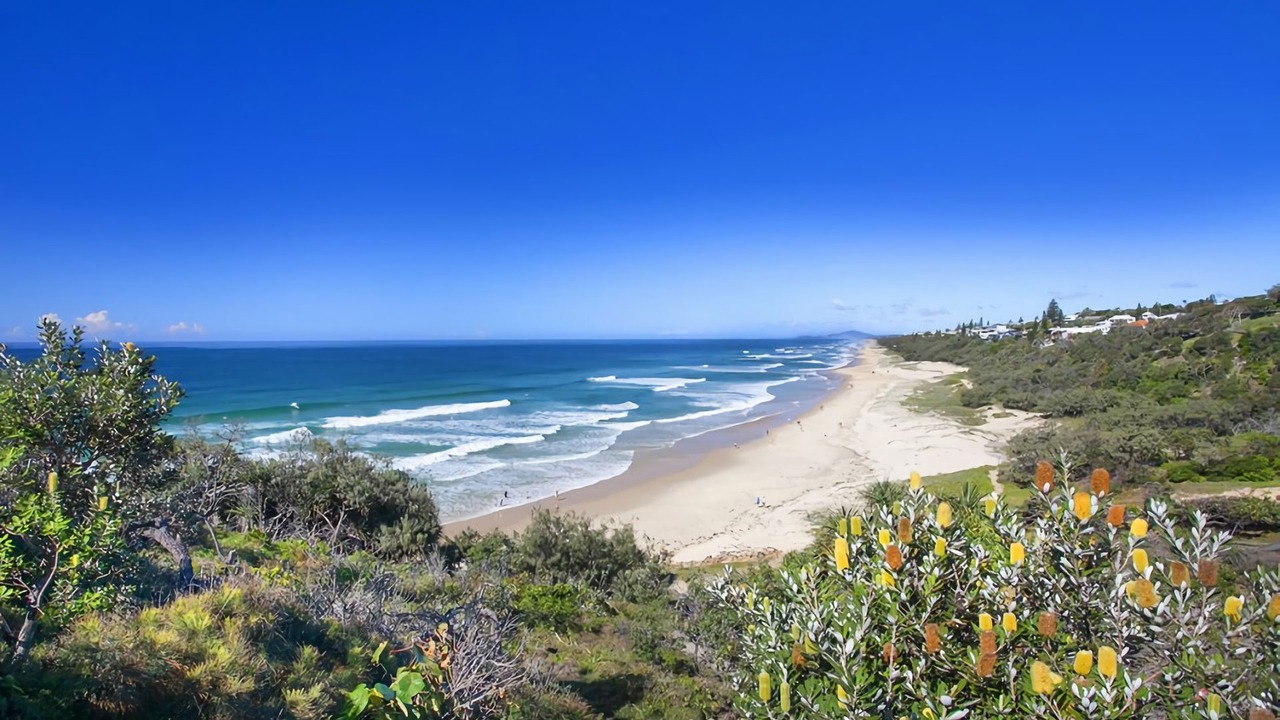 Photo of Others in Sunshine Beach