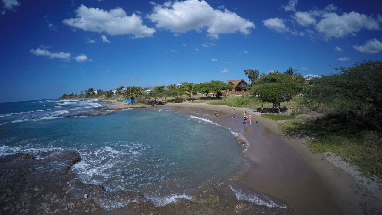 Photo of Others in Treasure Beach