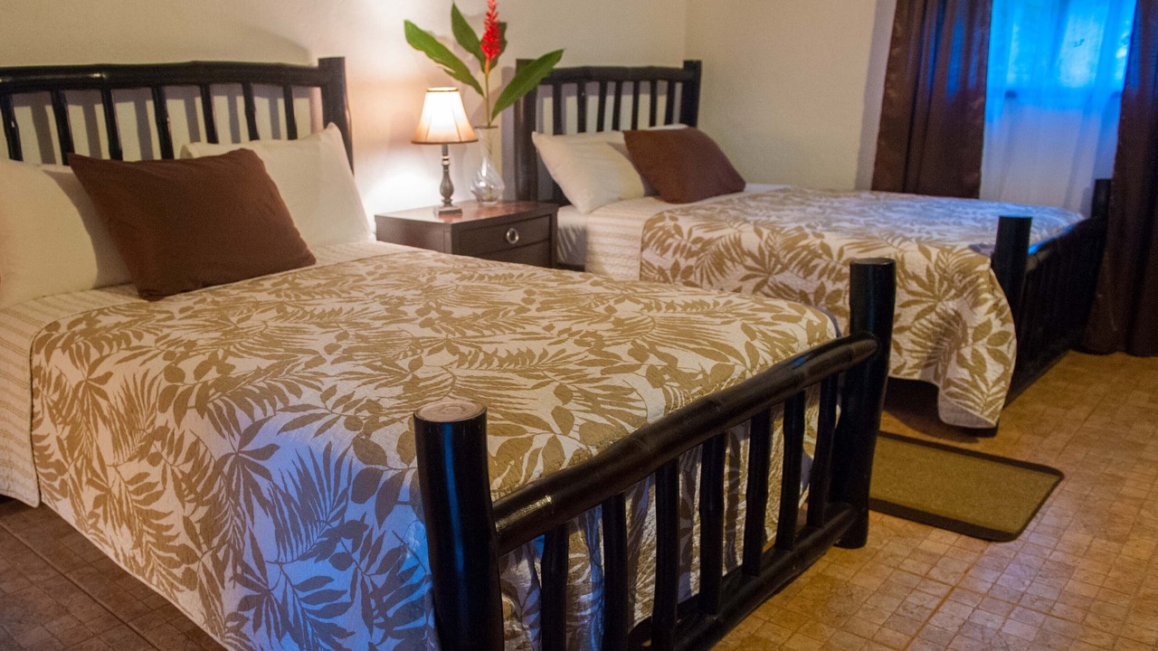 Photo of Bedroom in Treasure Beach