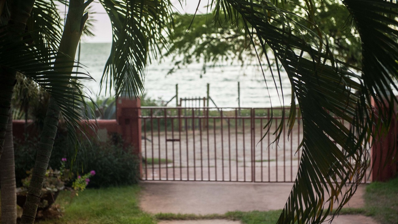 Photo of Outdoor in Treasure Beach