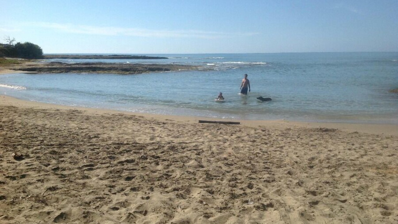Photo of Others in Treasure Beach