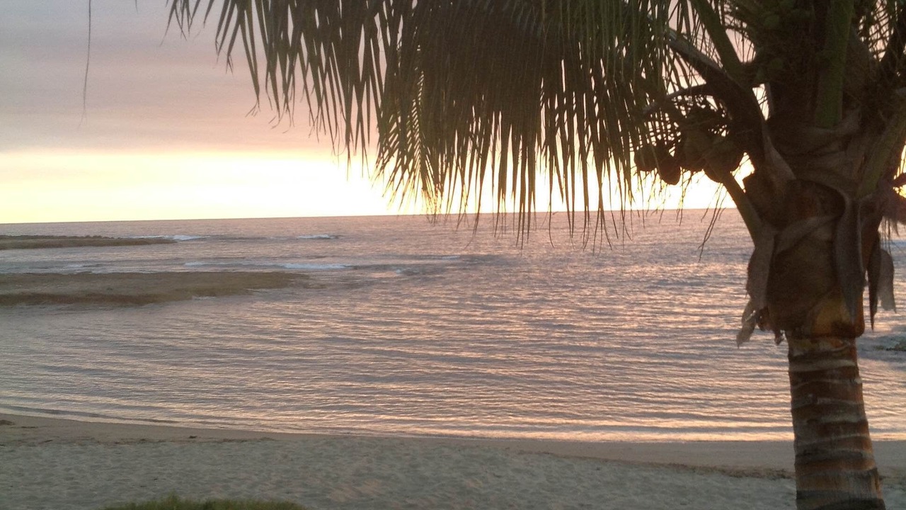 Photo of Others in Treasure Beach