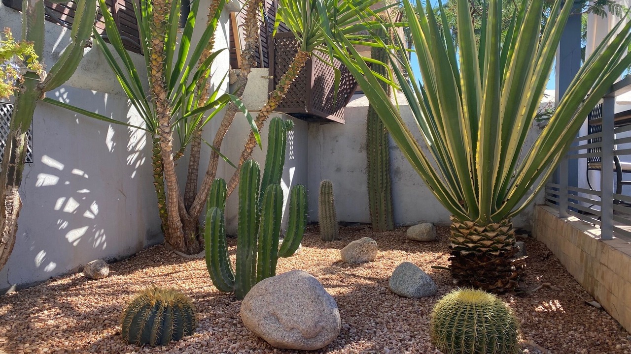 Photo of Outdoor in Mechouar-Kasbah