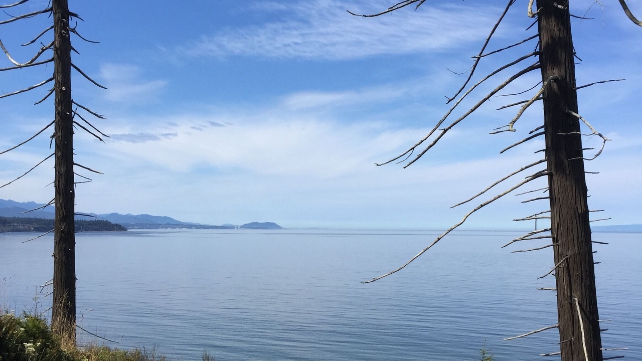 Photo of Others in Clallam County