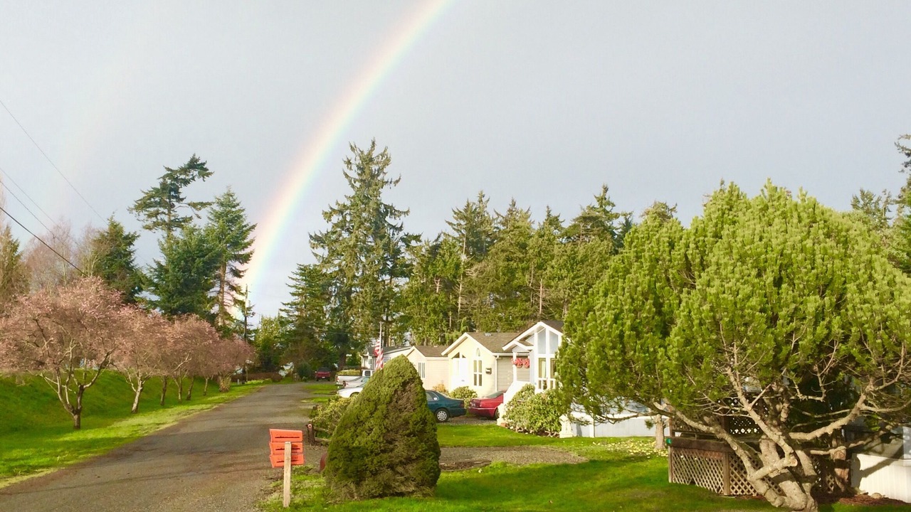 Photo of Others in Clallam County