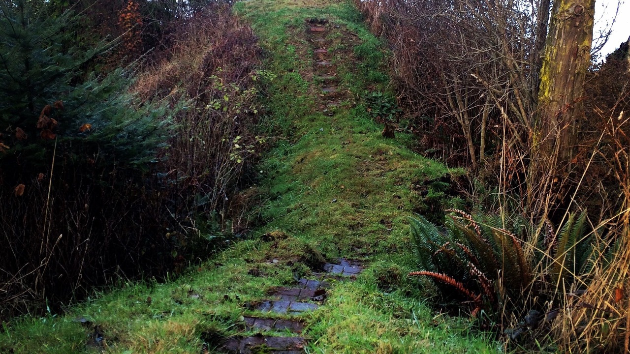 Photo of Others in Clallam County