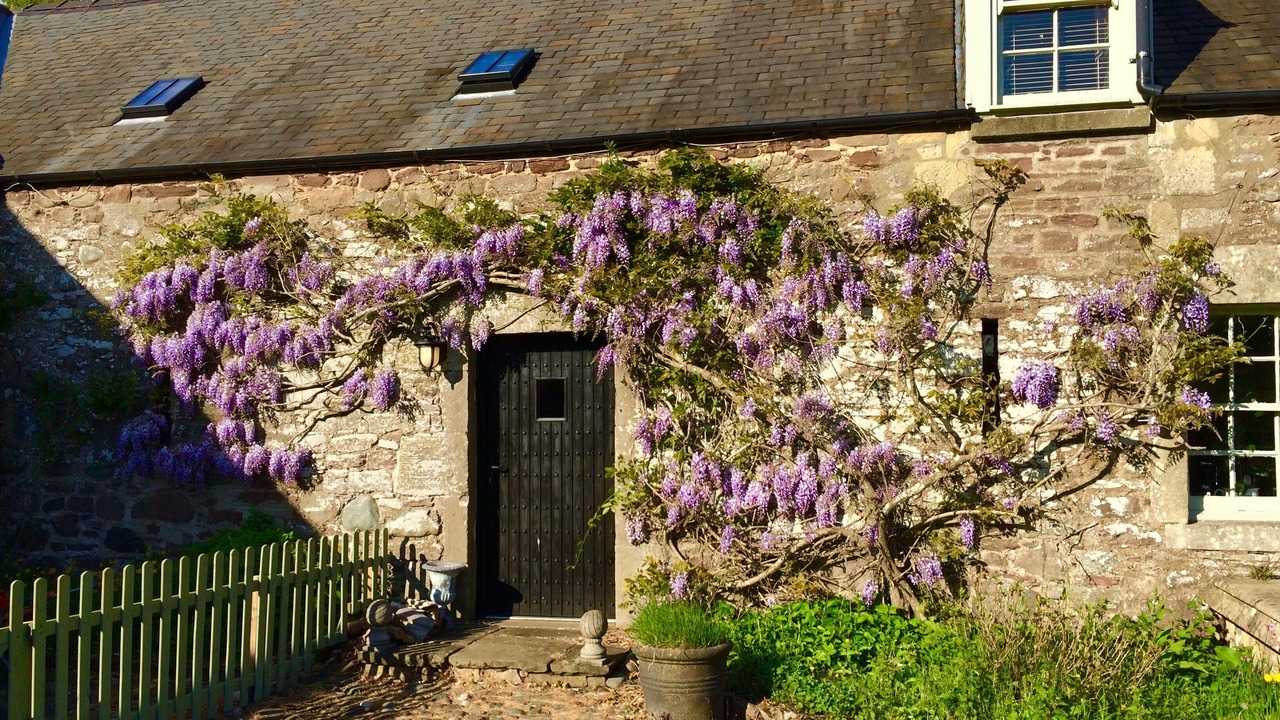Photo of Outdoor in Doune