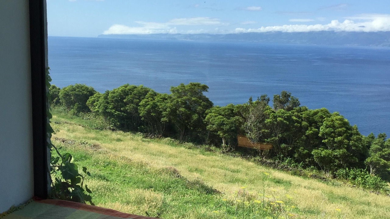 Photo of Others in Pico