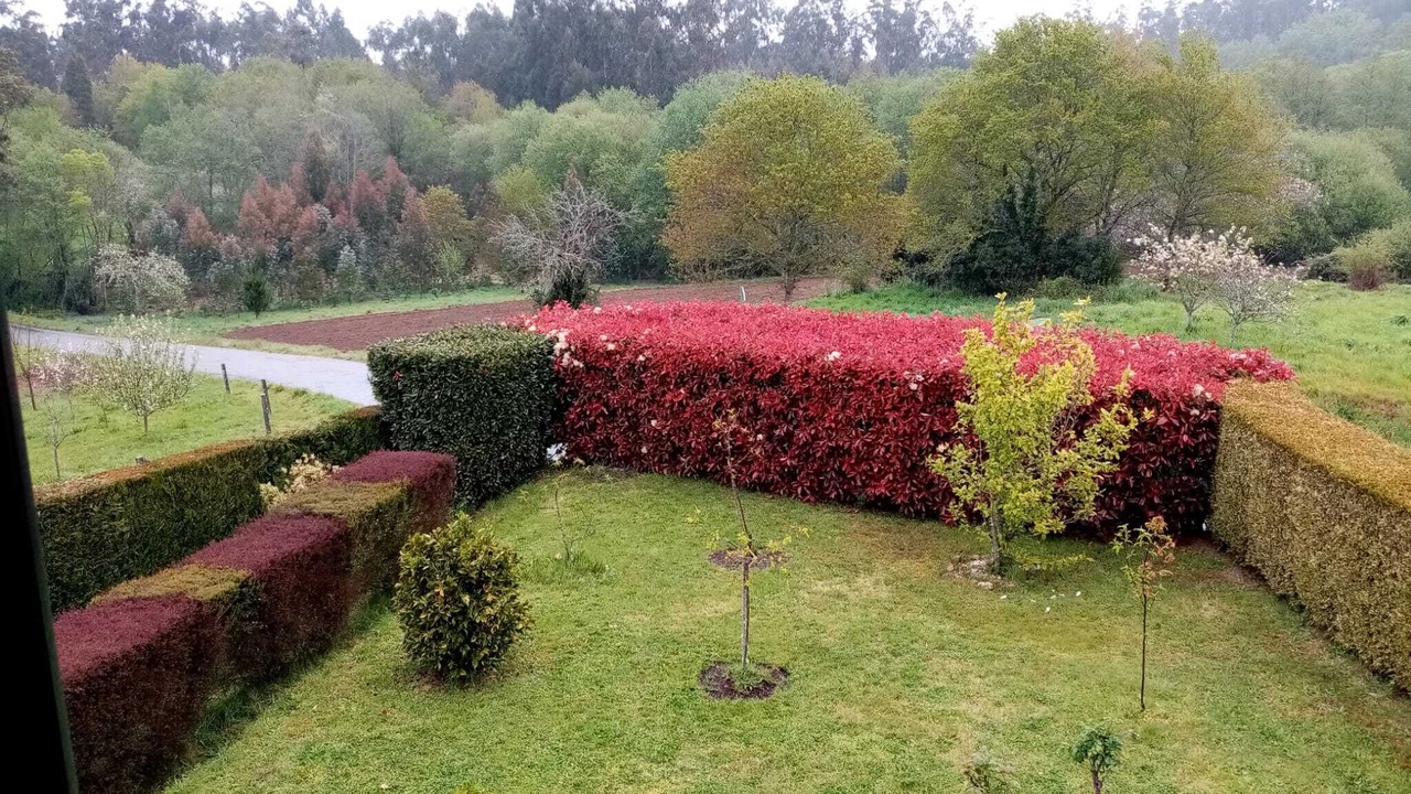 Photo of Outdoor in Touro