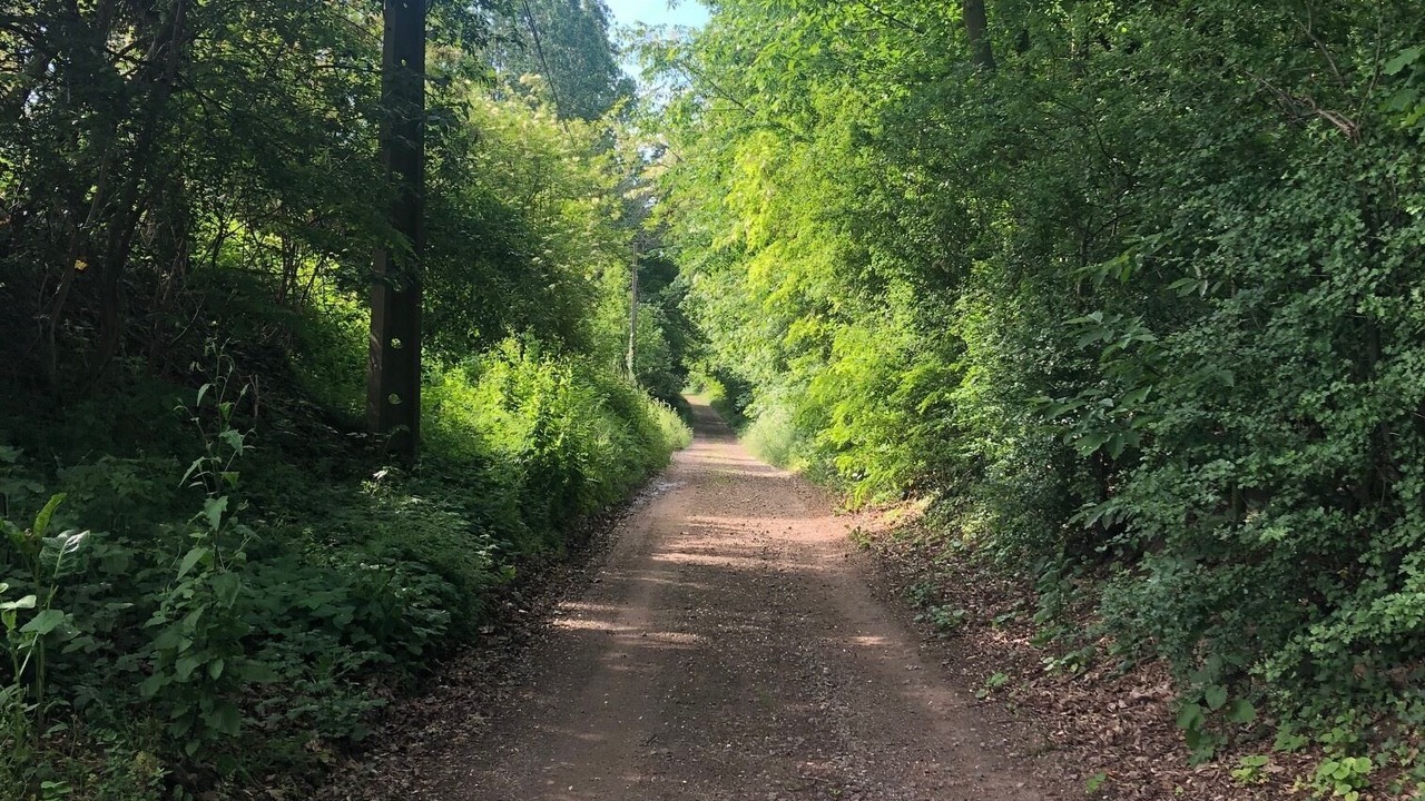 Photo of Outdoor in Budingen