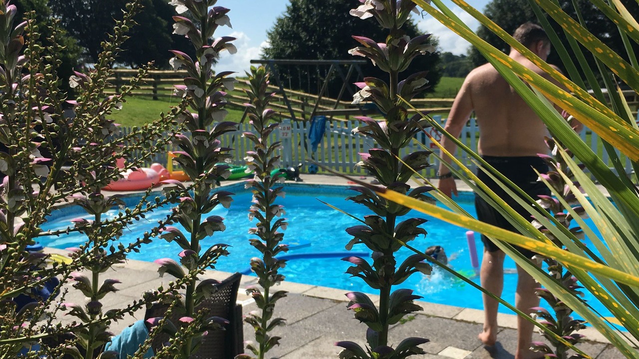 Photo of Outdoor in Trewen