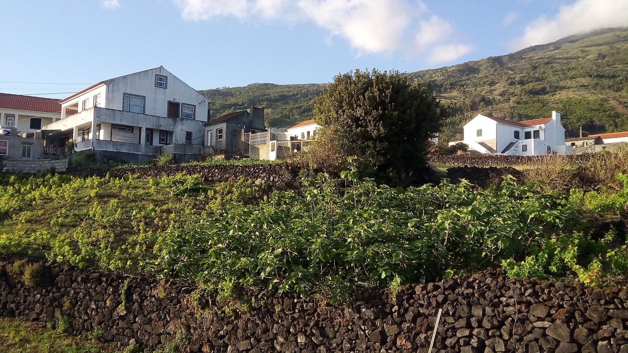 Photo of Outdoor in Sao Mateus