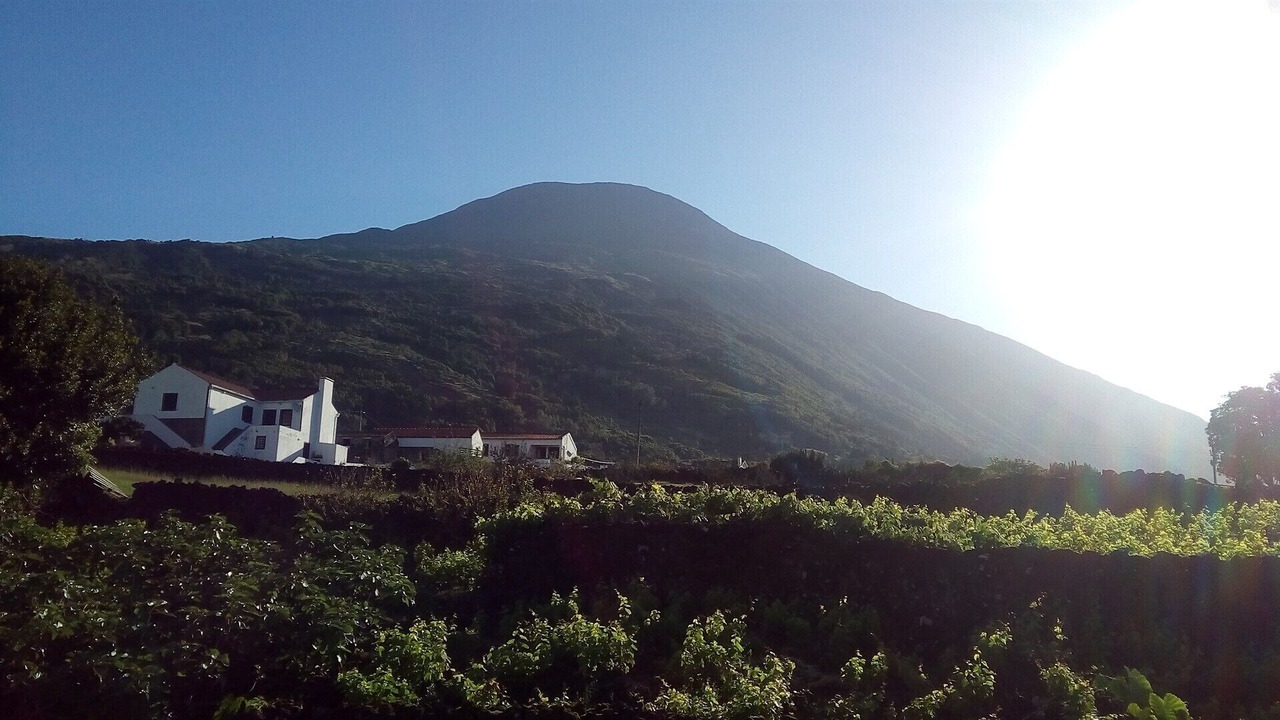 Photo of Outdoor in Sao Mateus