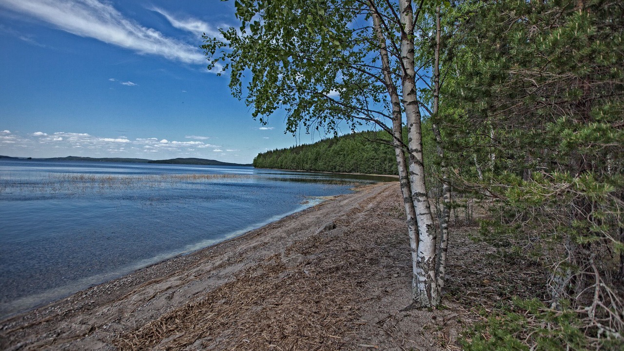 Photo of Others in Padasjoki