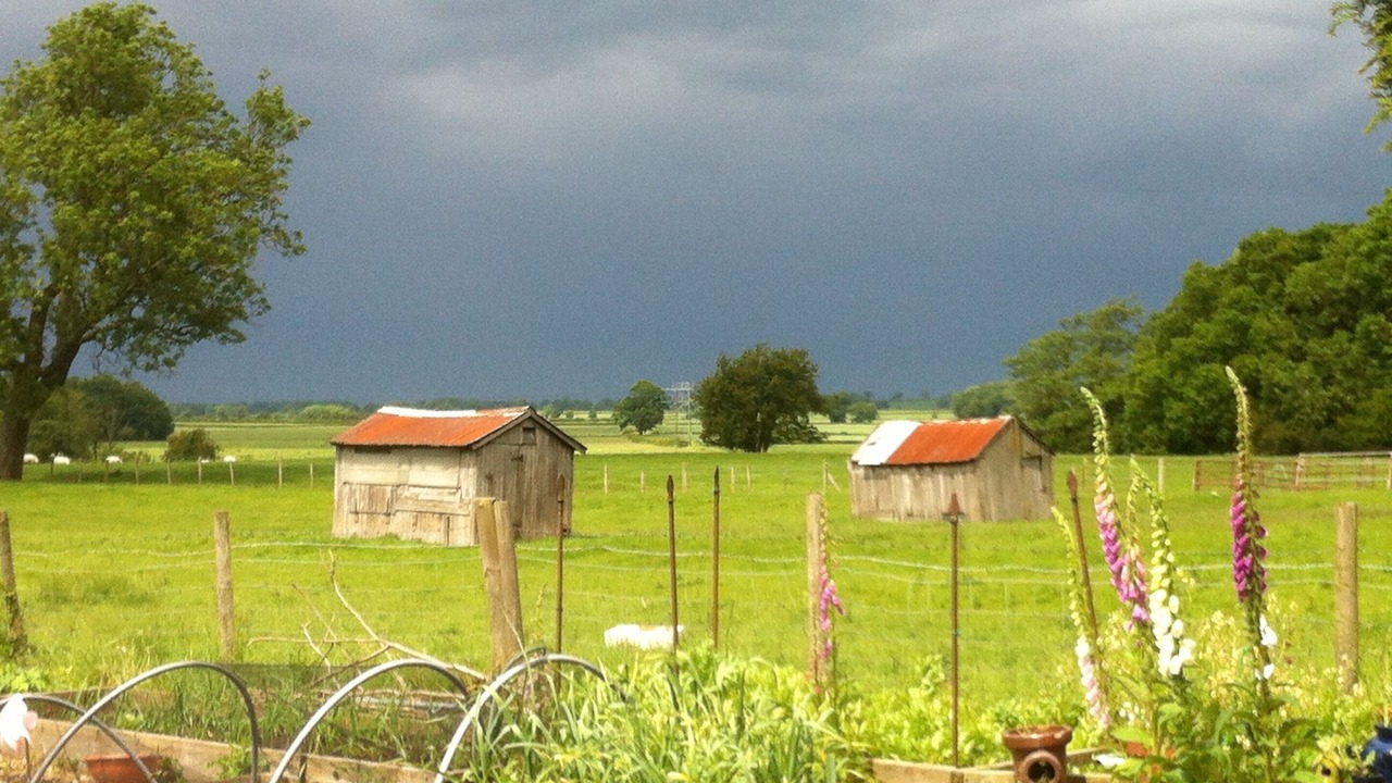 Photo of Others in Ripley