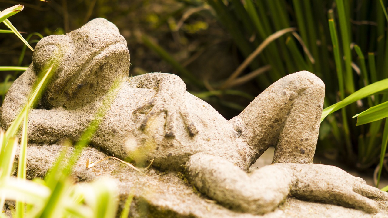 Photo of Outdoor in Campestre