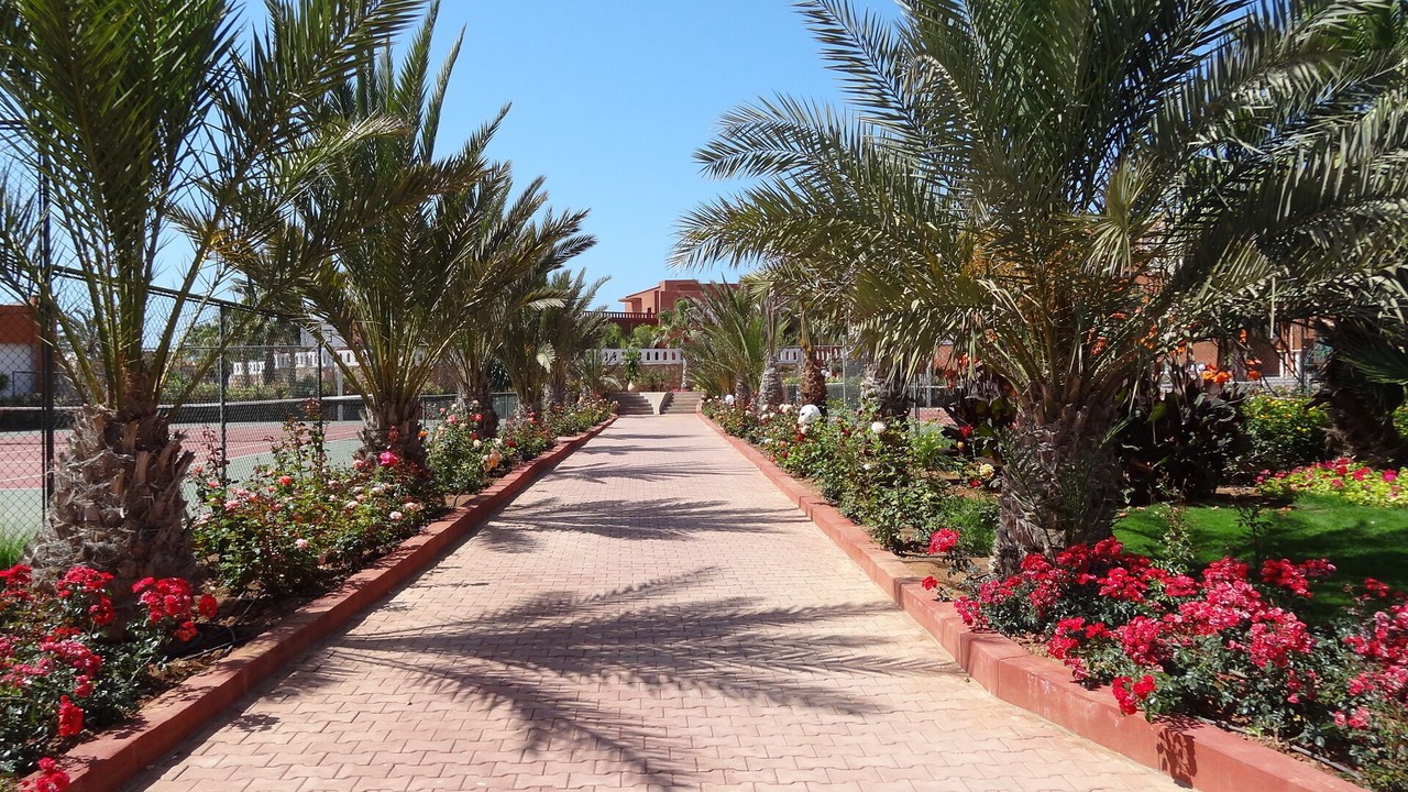 Photo of Outdoor in Arbaa Sahel