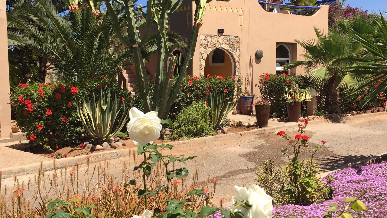 Photo of Outdoor in Arbaa Sahel