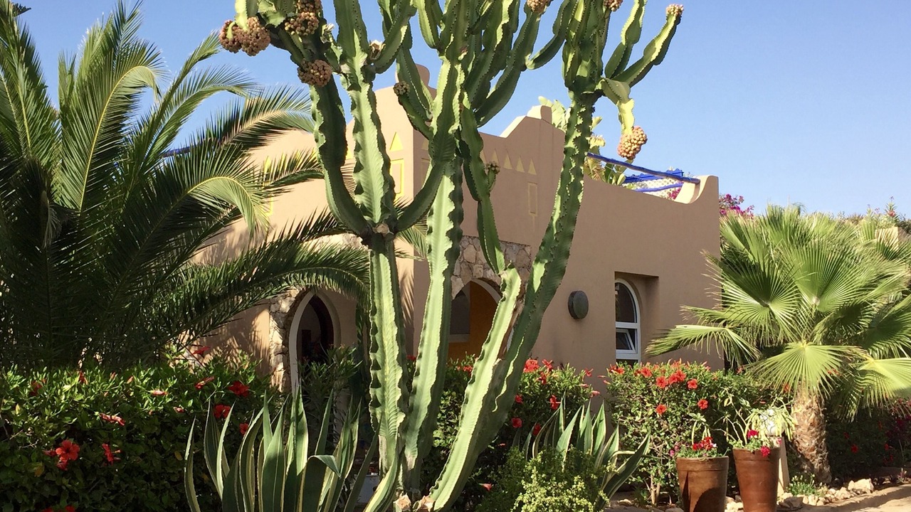 Photo of Outdoor in Arbaa Sahel