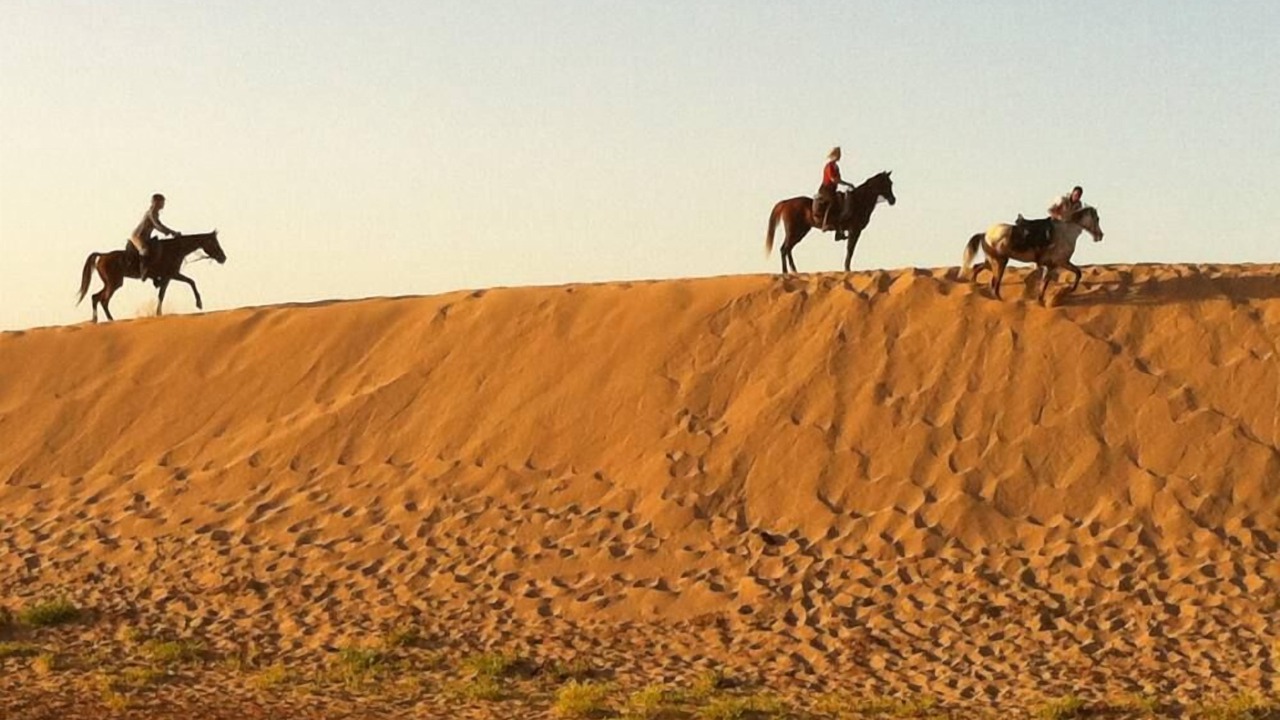 Photo of Others in Arbaa Sahel