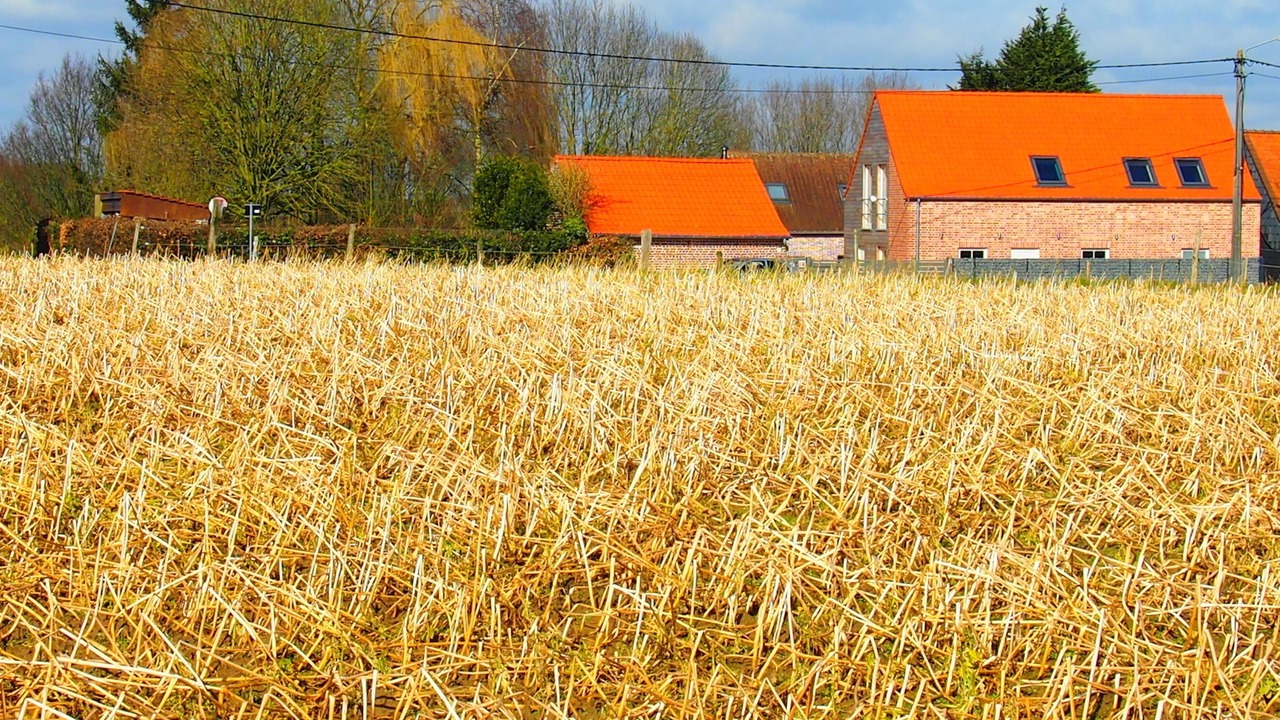 Photo of Outdoor in Ellezelles