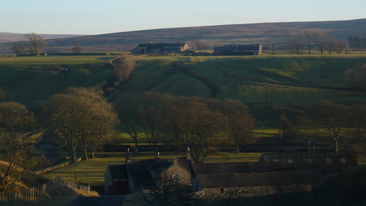 Photo of Others in Farlam