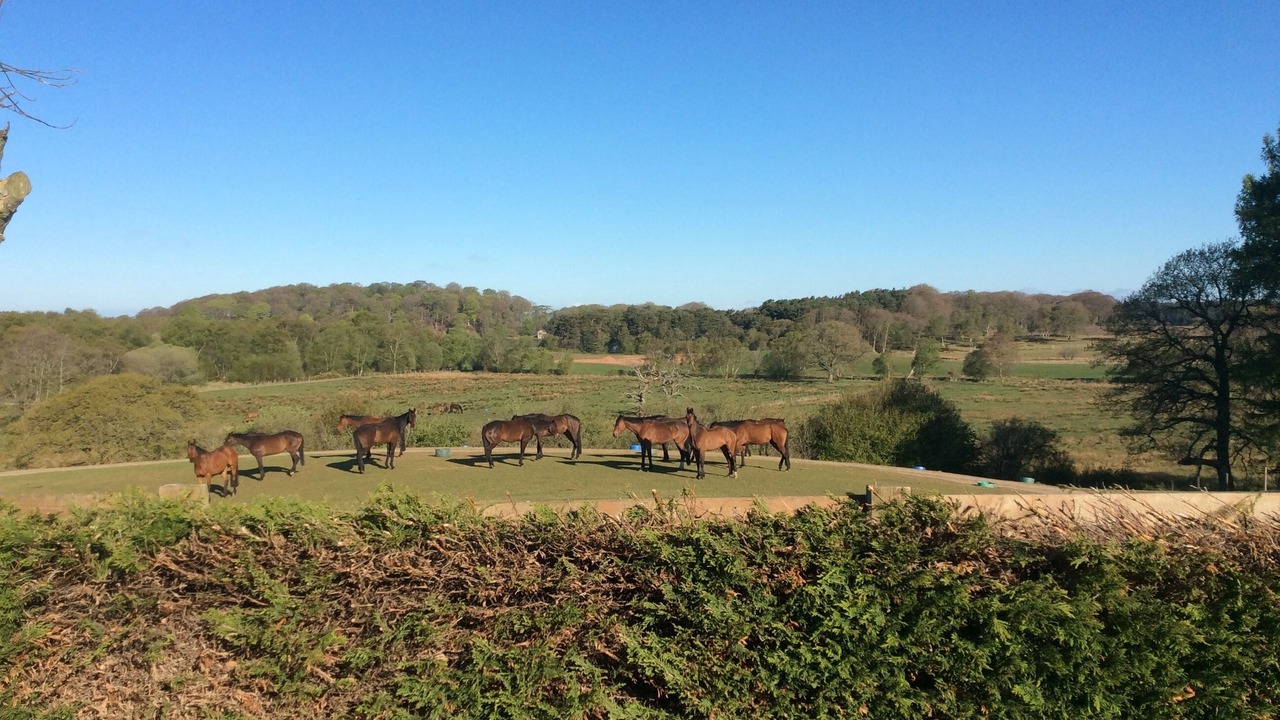 Photo of Outdoor in Farlam