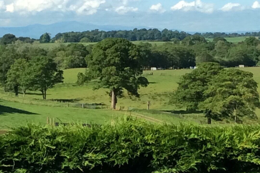 Photo of Others in Farlam