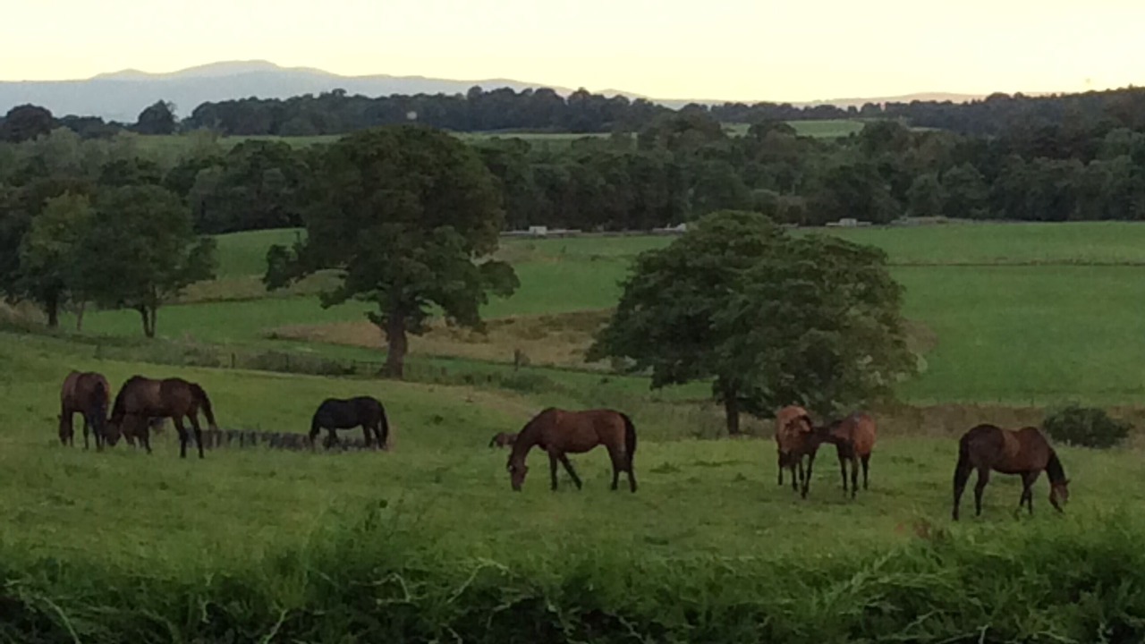 Photo of Others in Farlam