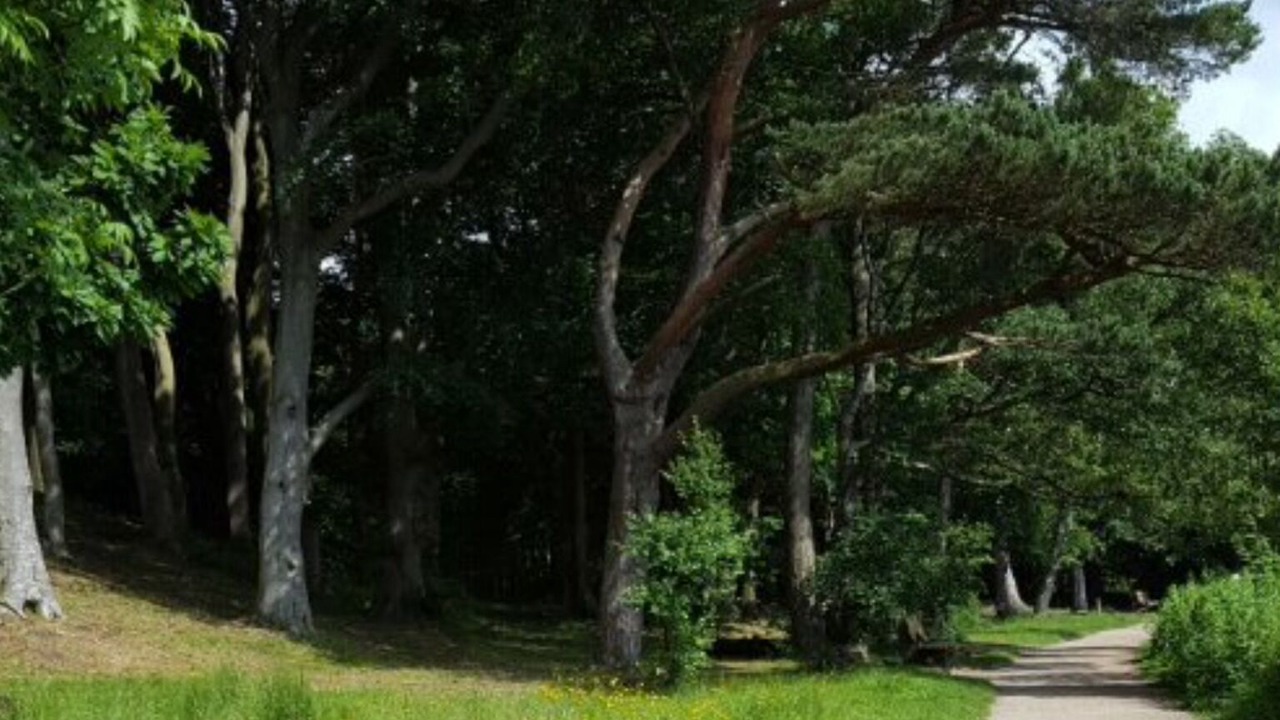 Photo of Outdoor in Farlam