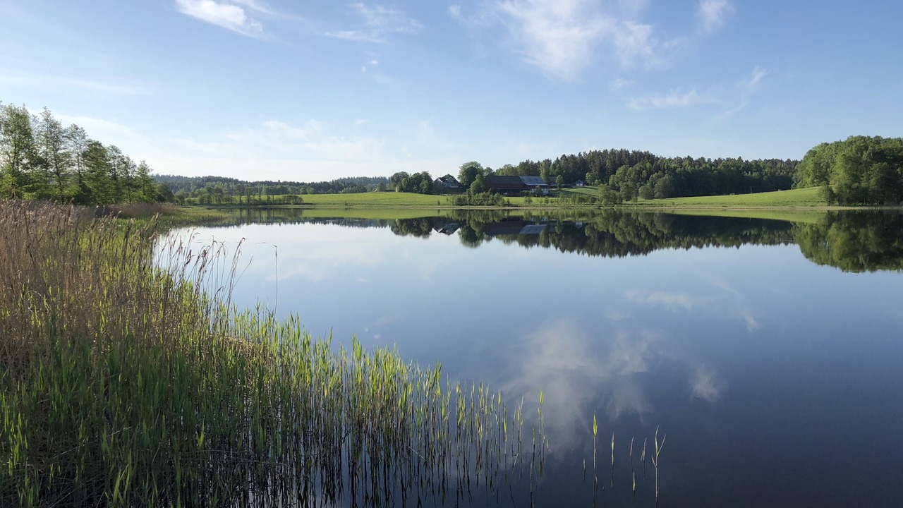 Photo of Outdoor in Lilla Edet O