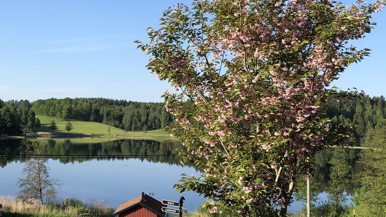 Photo of Outdoor in Lilla Edet O