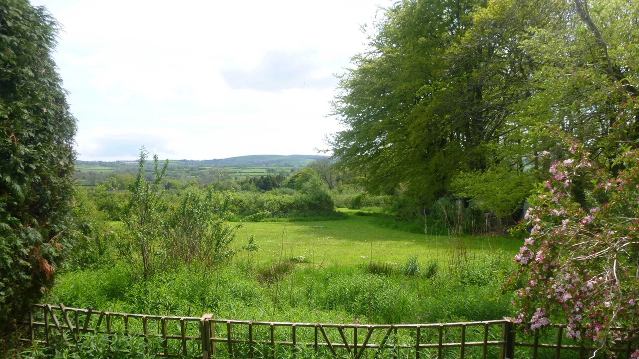 Photo of Outdoor in Crymych