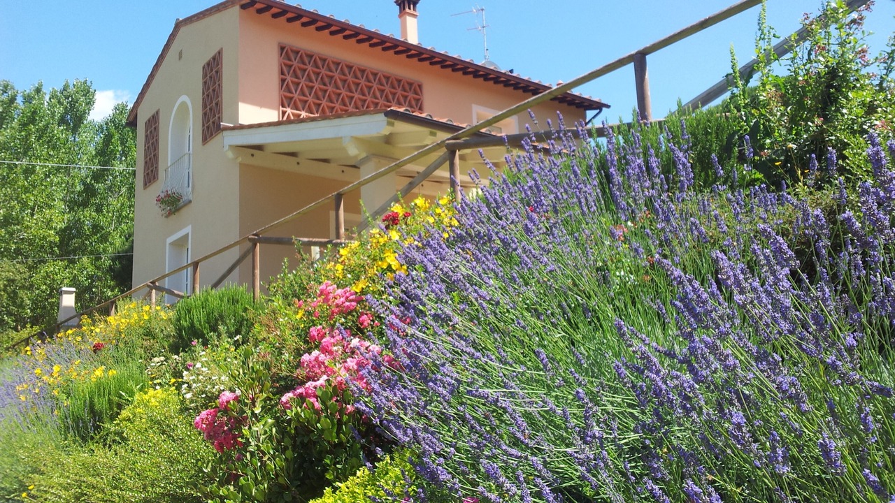 Photo of Outdoor in Montopoli in Val d'Arno