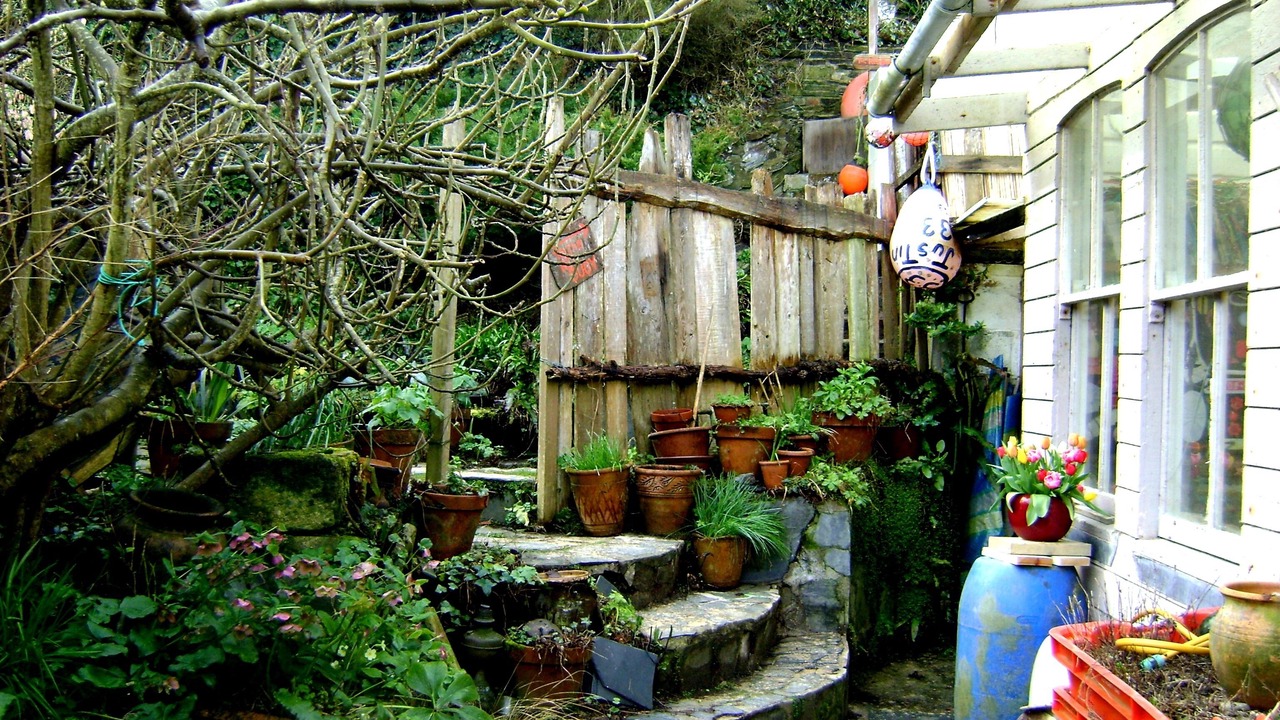 Photo of Outdoor in Padstow