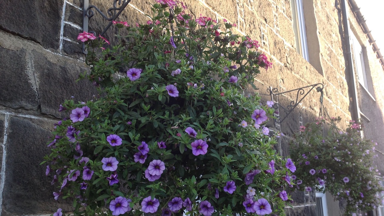 Photo of Outdoor in Crieff