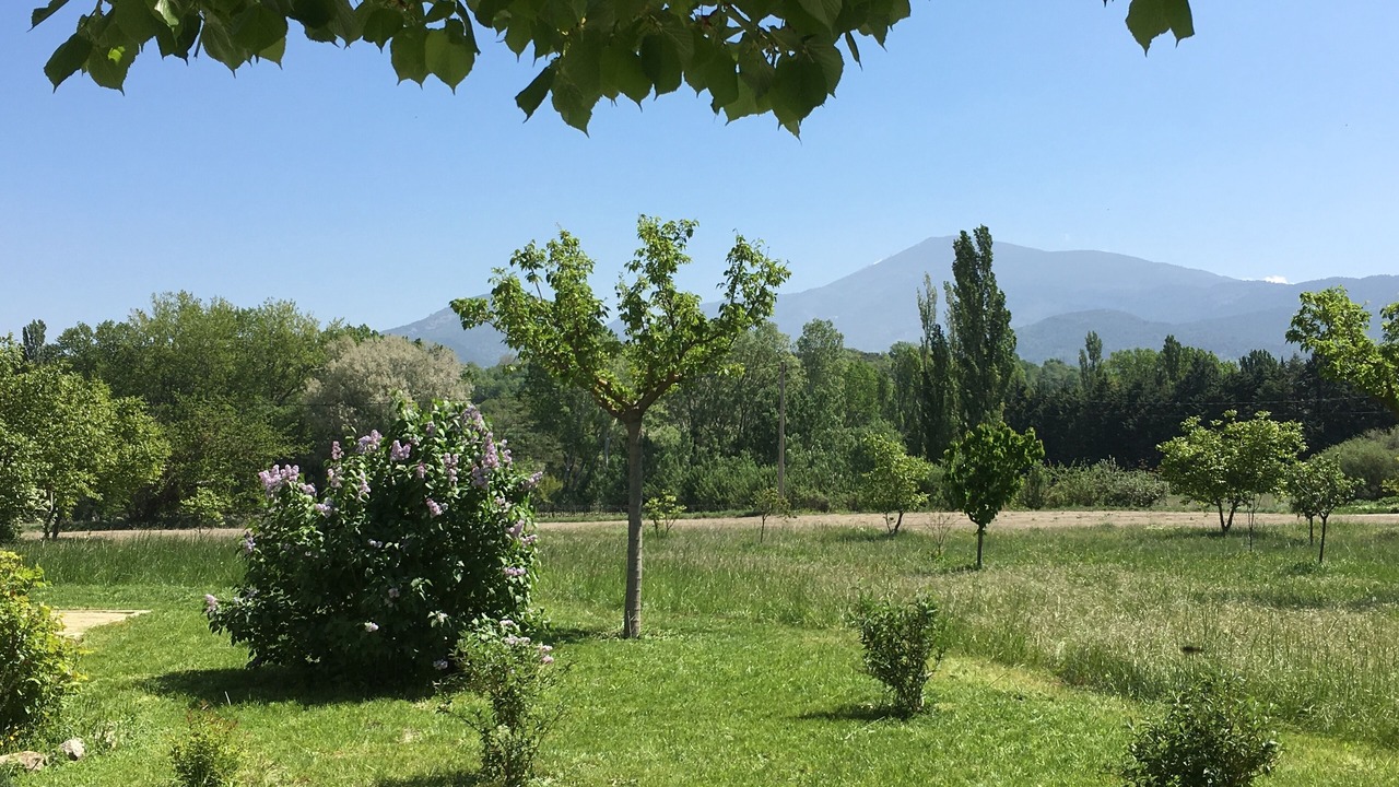 Photo of Outdoor in Malaucene