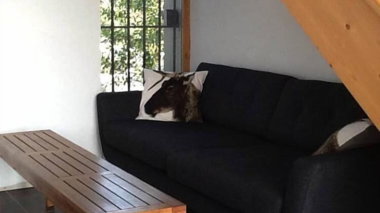 Photo of Livingroom in Labeaume