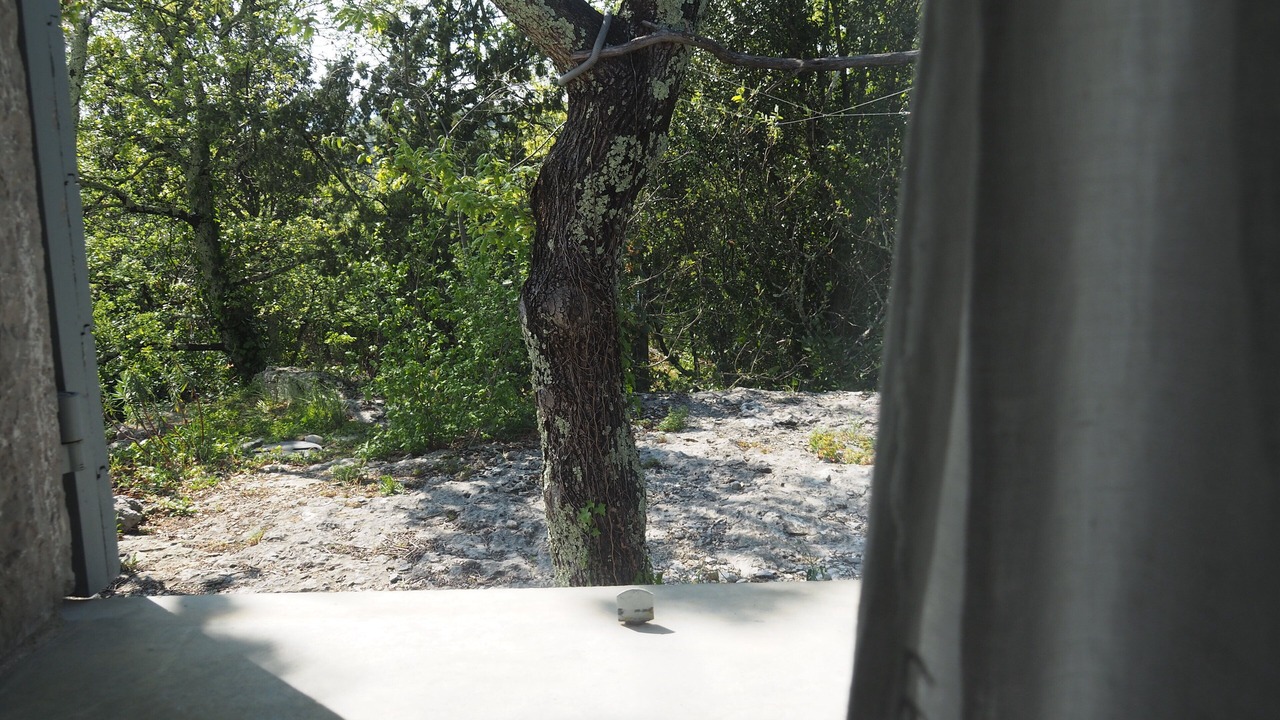 Photo of Outdoor in Labeaume