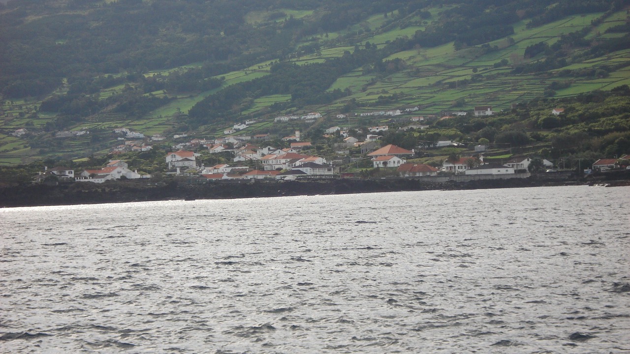 Photo of Others in Sao Roque do Pico