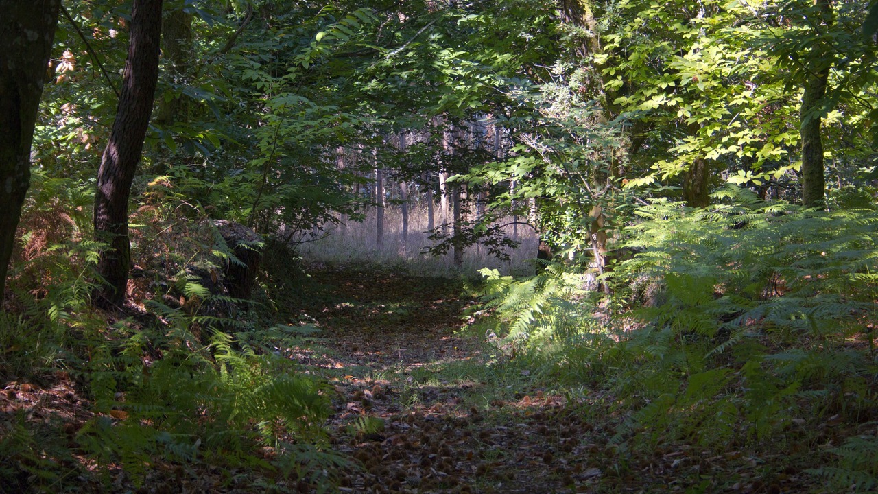 Photo of Outdoor in Bueu