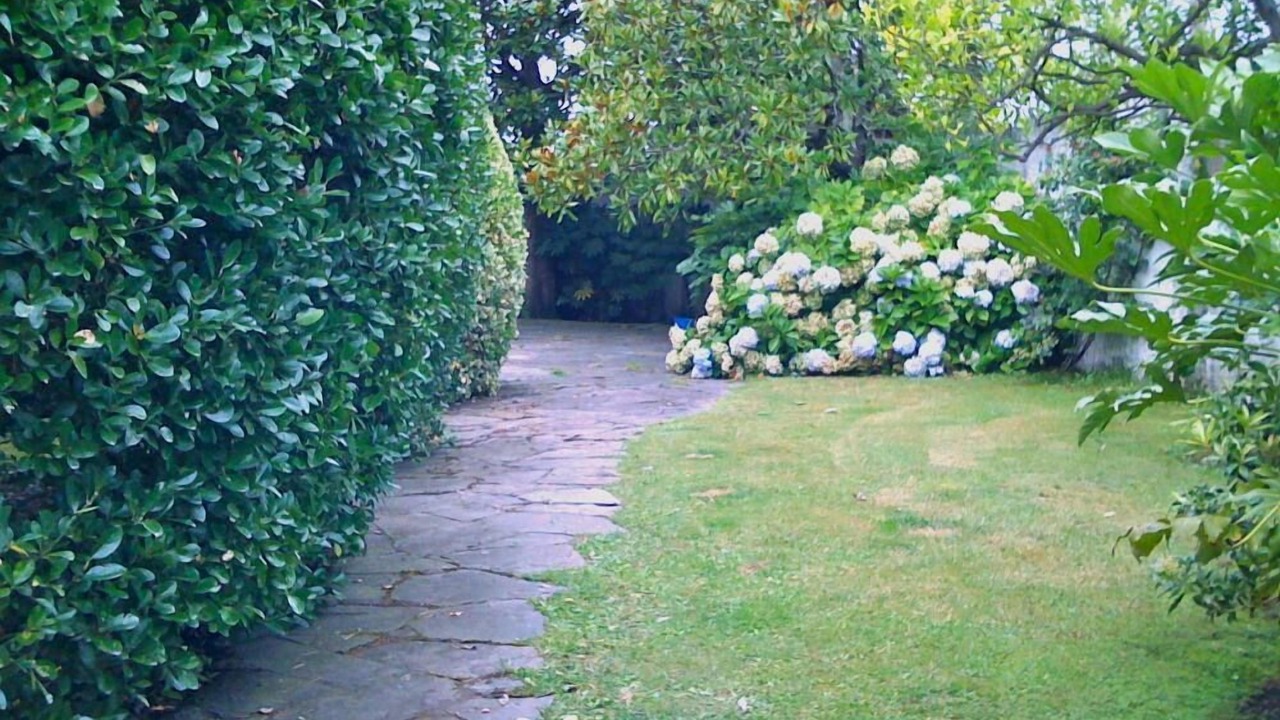 Photo of Outdoor in Oleiros