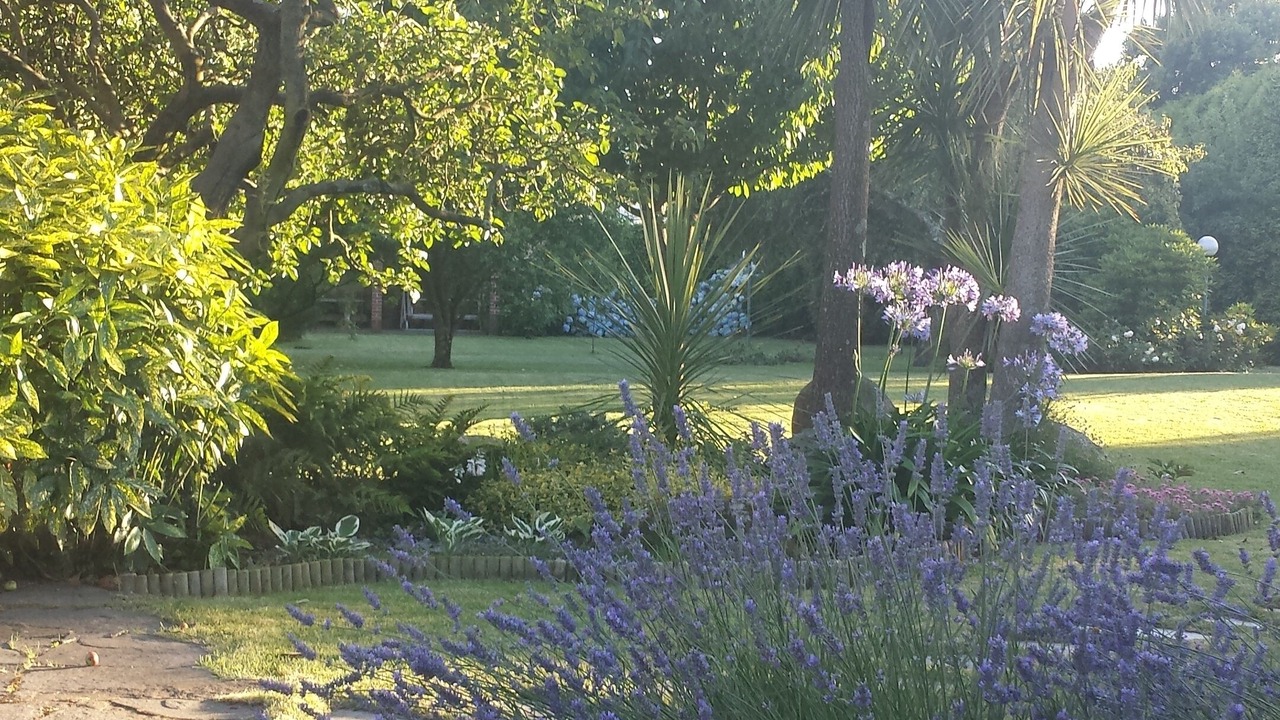 Photo of Outdoor in Oleiros